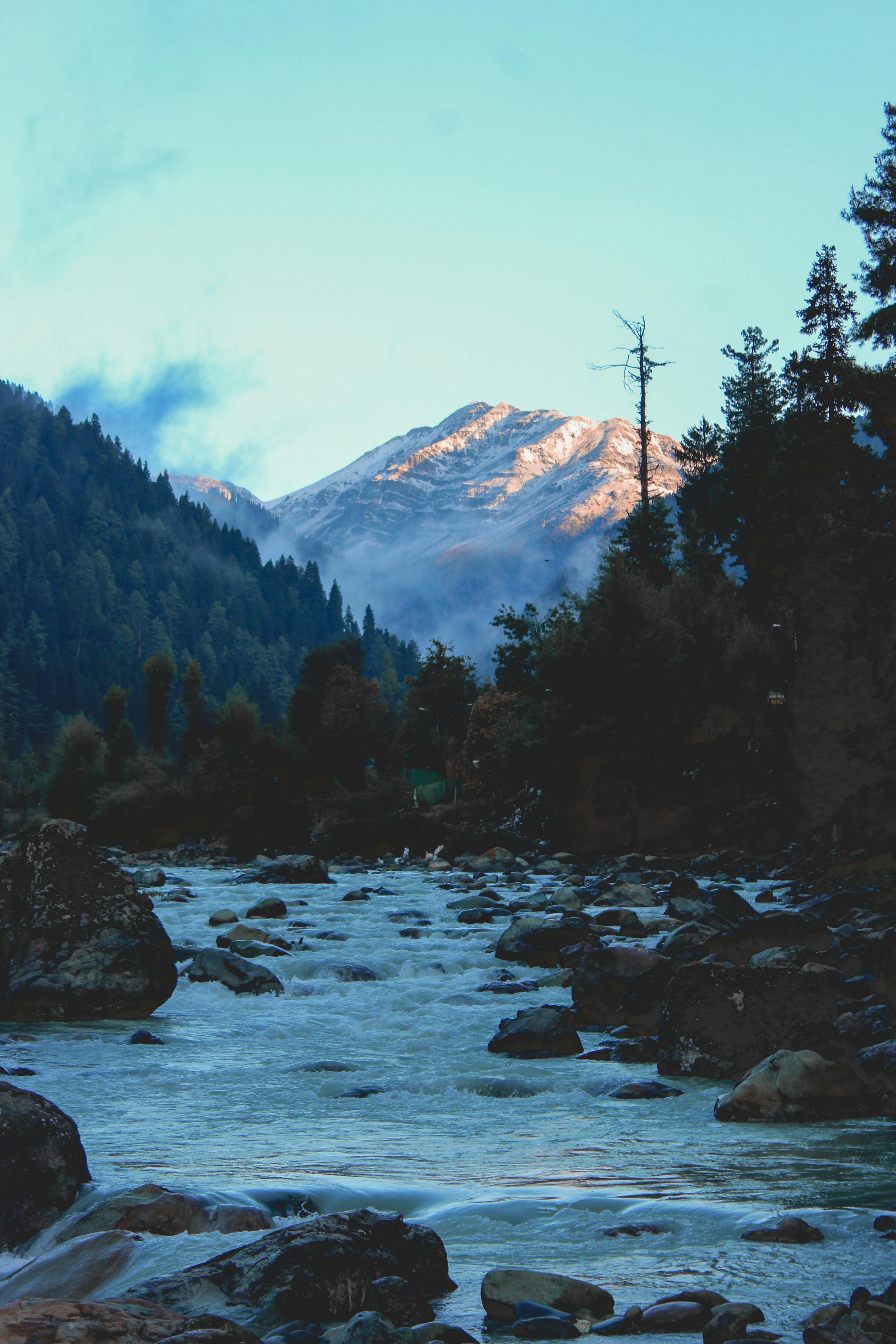 Kashmir Package for 7days